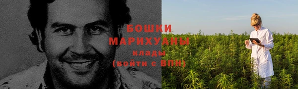 прущие грибы Верея