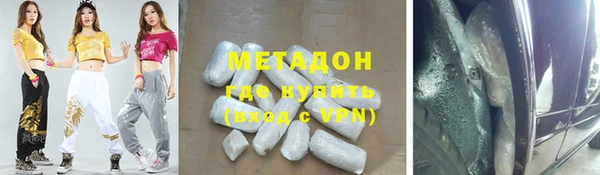 прущие грибы Верея