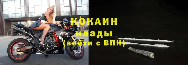 прущие грибы Верея