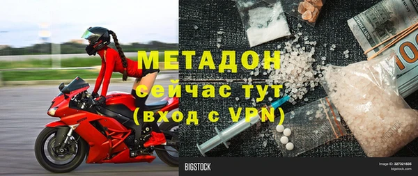 прущие грибы Верея