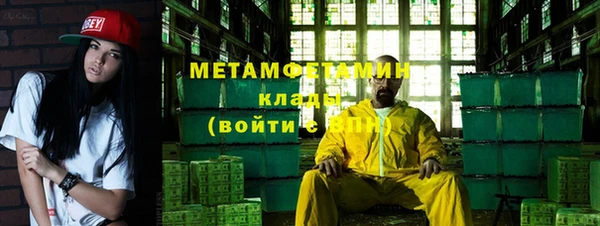 прущие грибы Верея