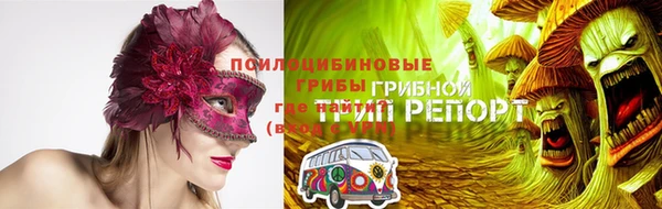 ГАЛЛЮЦИНОГЕННЫЕ ГРИБЫ Верхний Тагил