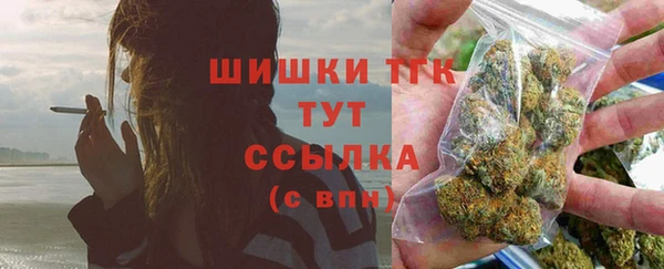 прущие грибы Верея