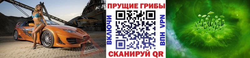 Галлюциногенные грибы ЛСД  Волоколамск 